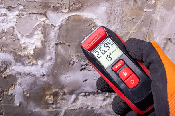 Office Mold Removal Services in Minor, AL